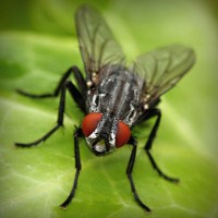 /album/best-sunglasses-blog/photolia-a01-jpg/