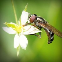 /album/best-sunglasses-blog/photolia-a02-jpg/