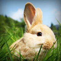 /album/best-sunglasses-blog/photolia-a03-jpg/