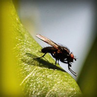 /album/best-sunglasses-blog/photolia-a04-jpg/