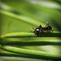 /album/best-sunglasses-blog/photolia-a05-jpg/