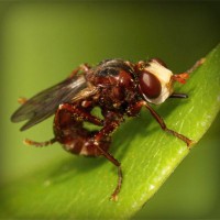 /album/best-sunglasses-blog/photolia-a06-jpg/