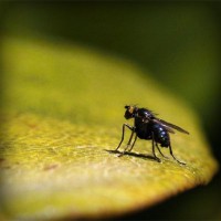 /album/best-sunglasses-blog/photolia-a07-jpg/