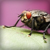 /album/best-sunglasses-blog/photolia-a08-jpg/